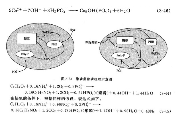 2024072639071085.jpg 5.jpg